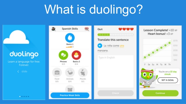 duolingo dowanload for pc for free