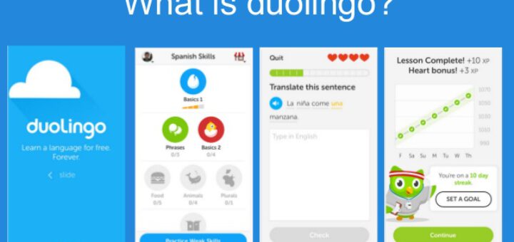 Duolingo download free