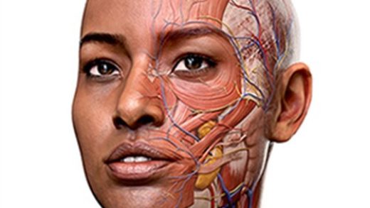 Complete anatomy logo