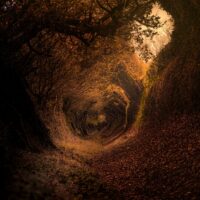 Enchanted autumn tunnel