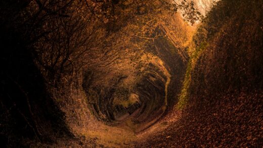 Enchanted autumn tunnel