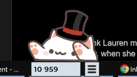 Bongo cat cover