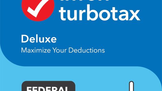 Turbletax deluxe 2024 logo