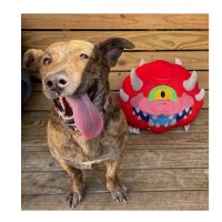Doom the bark ages gaming for good supporting animal.jpg