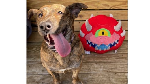 Doom the bark ages gaming for good supporting animal.jpg