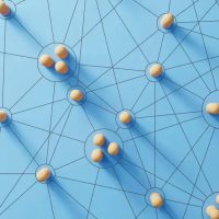 Vernetzen, Teambuilding