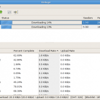 Deluge downloads
