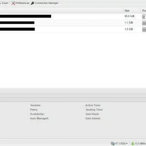 Deluge screenshot on pc