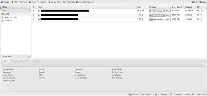 Deluge screenshot on pc