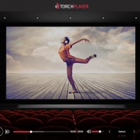 Torch browser media player