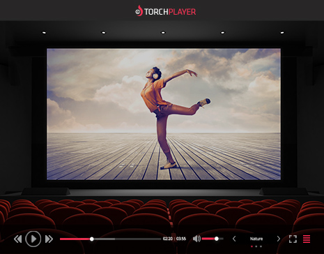 Torch browser media player