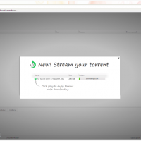 Torch browser stream torrent