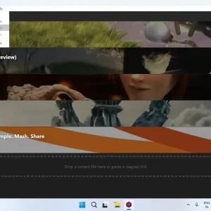 Webtorrent on windows screenshot