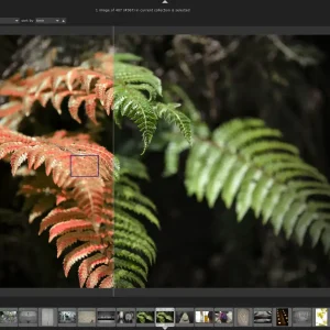 Best photo editors for windows 13 darktable screenshot