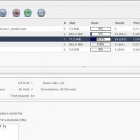Qbittorrent downloads