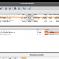 Qbittorrent windows8