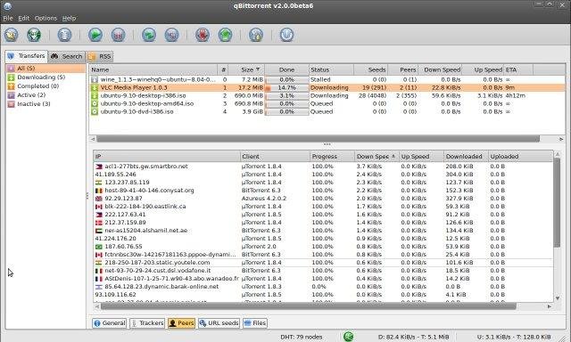 Qbittorrent peers tracker list qBittorrent On Windows 10