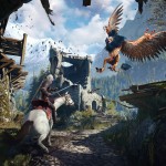 The witcher 3 bird attack