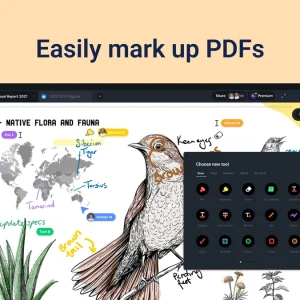 Markup pdf