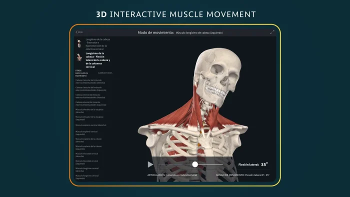 3d muscle movement