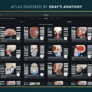 Atlas