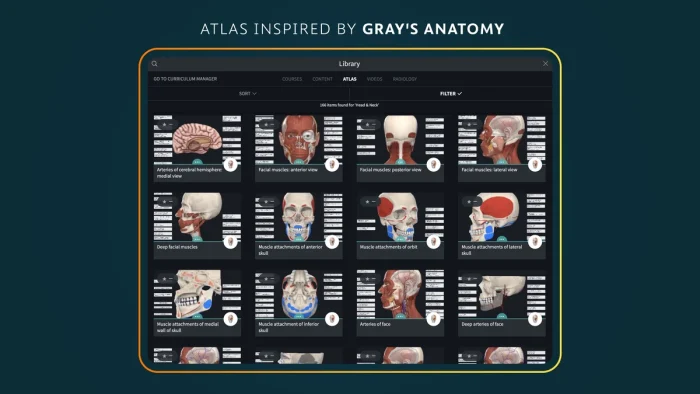 Atlas