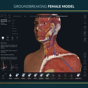 Complete female body