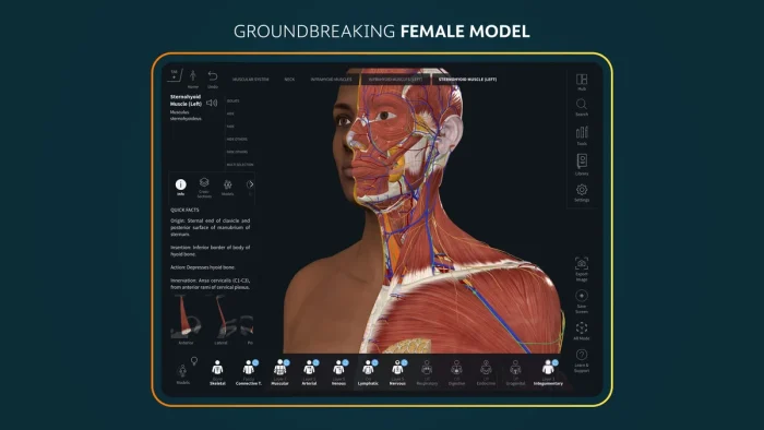 Complete female body