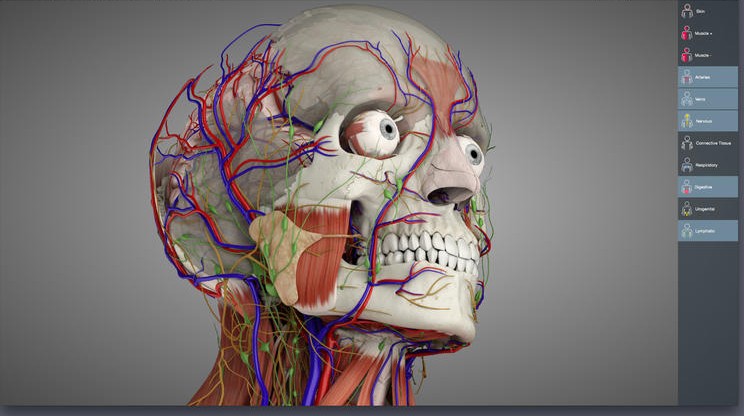 Essential Anatomy 3 For Windows 10