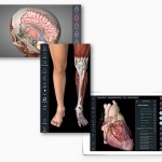 Essential anatomy 3d graphics