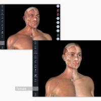 essential anatomy 3 for windows essential anatomy 3 for windows