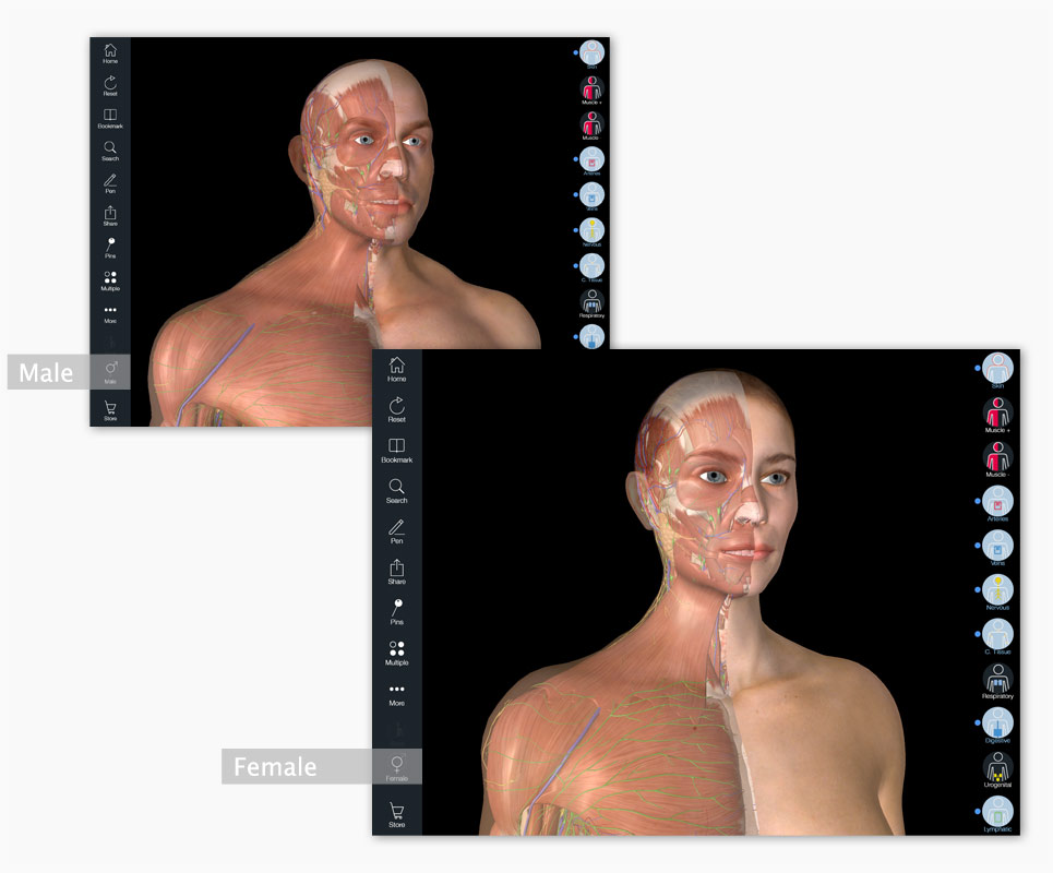 Essential Anatomy 5 App