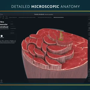 Microscopic