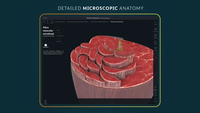 Microscopic