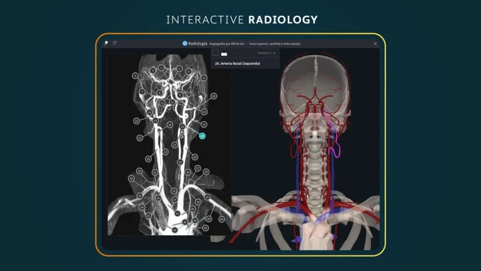 Radiology