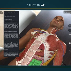 Study with ar