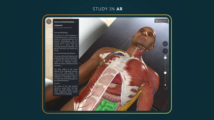 Study with ar