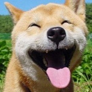 Windows 10 no longer offered as recommended update on windows 7 8 1