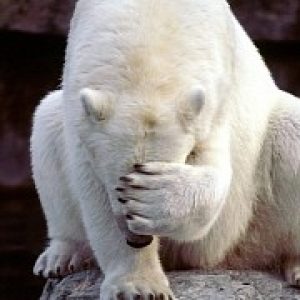 Broken windows 10 cumulative updates how microsoft deals with them