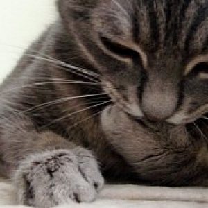 How to fix windows 10 cumulative update kb3189866 getting stuck at 95 percent