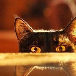 Windows 10 might soon track absolutely everything you do for your own good