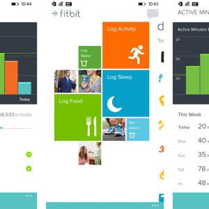 Fitbit app for phone