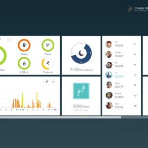 fitbit desktop app download