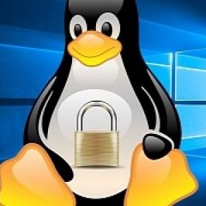 Microsoft updates the windows subsystem for linux with ubuntu 16 04 support