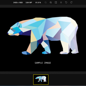 Polarr photo editor preview