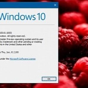 How to fix windows 10 update issues when trying to install build 15019