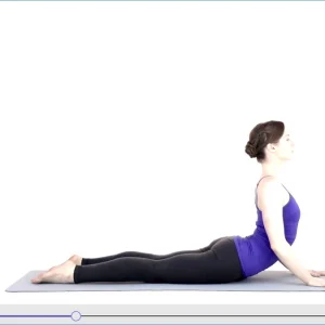Stretch
