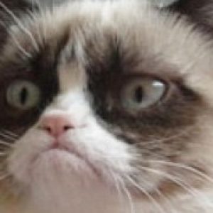 It s happening again windows 10 cumulative update kb4015438 fails to install