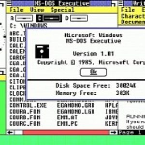 Someone spent 3 days to upgrade through every major windows version video