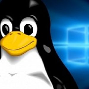 Windows falling victim to wannacry is good news for linux
